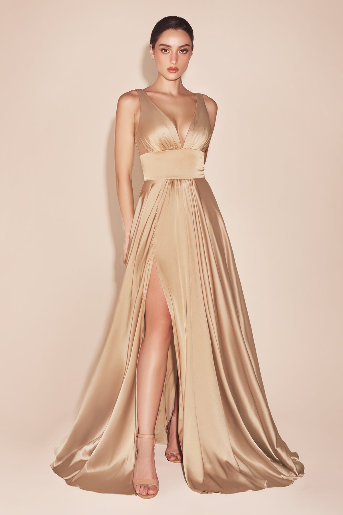 Cinderella Divine 7469 (Plus Sizes 18 - 24) Gorgeous Chifon A Line Pleated V Neck Dress - NORMA REED