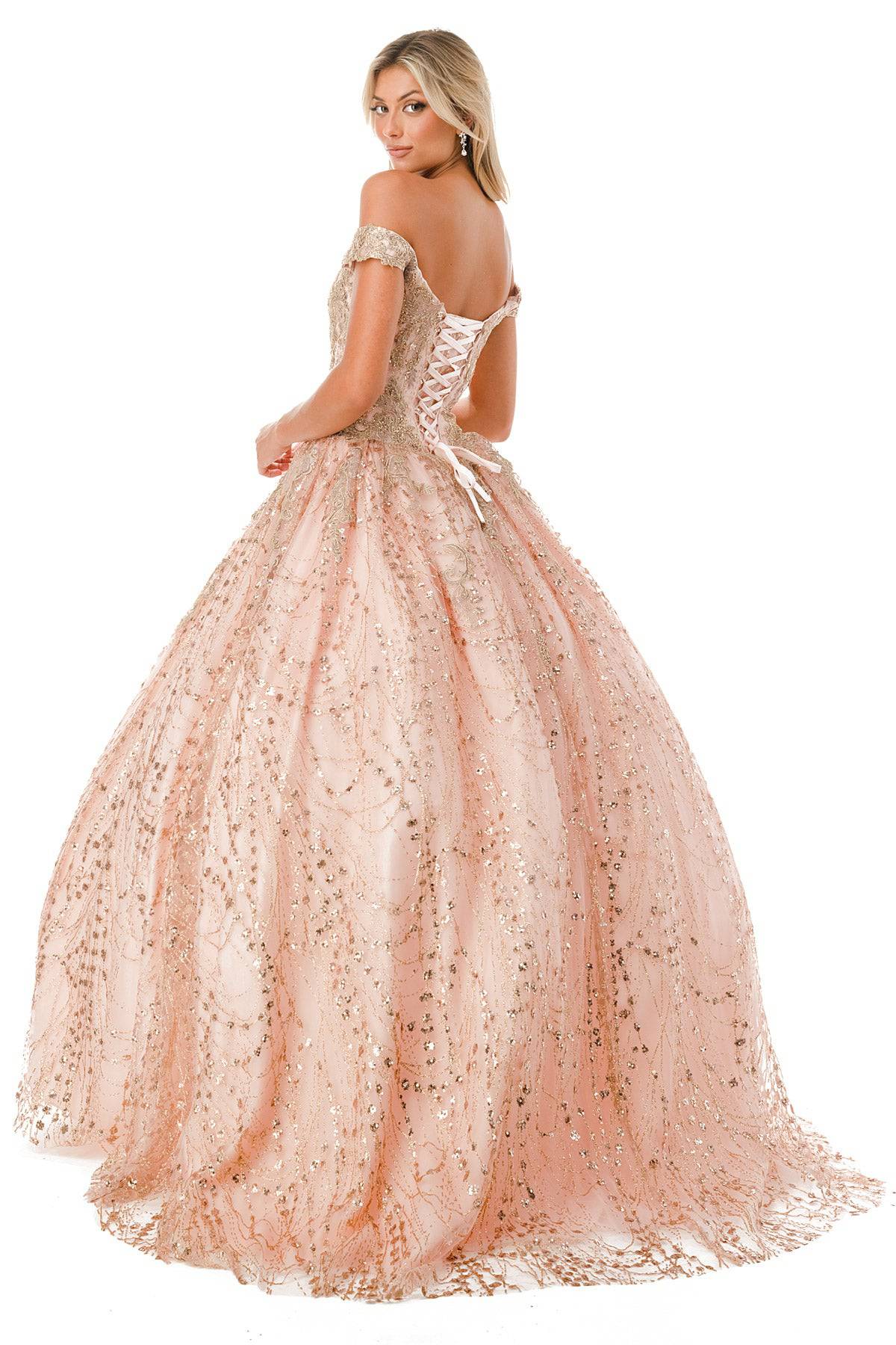 Aspeed L2753T Stunning Seqin Embroidered Quinceanera Dress - NORMA REED