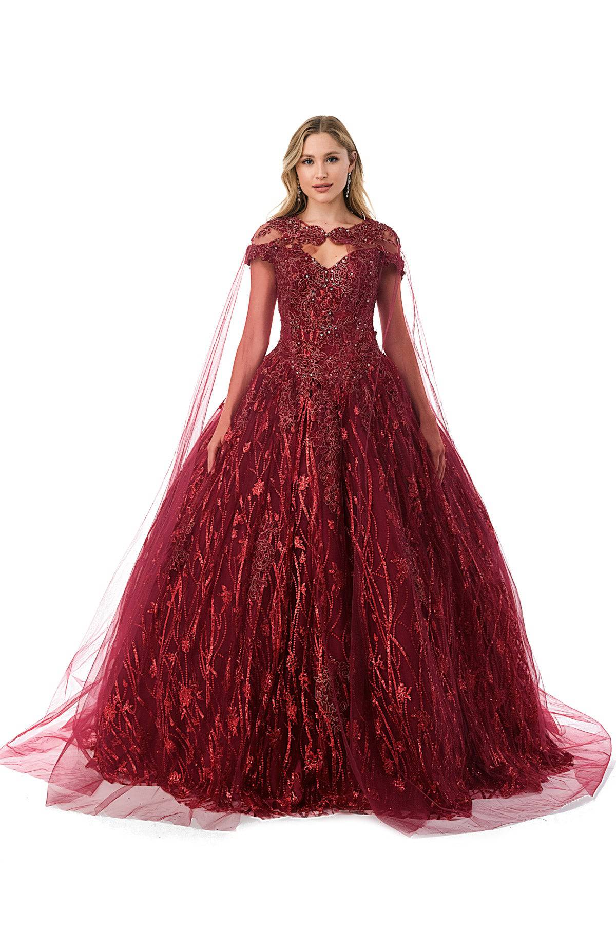 Aspeed L2804C  Floral & Sequin Burgundy Quinceanera Dress | 3 Colors - NORMA REED