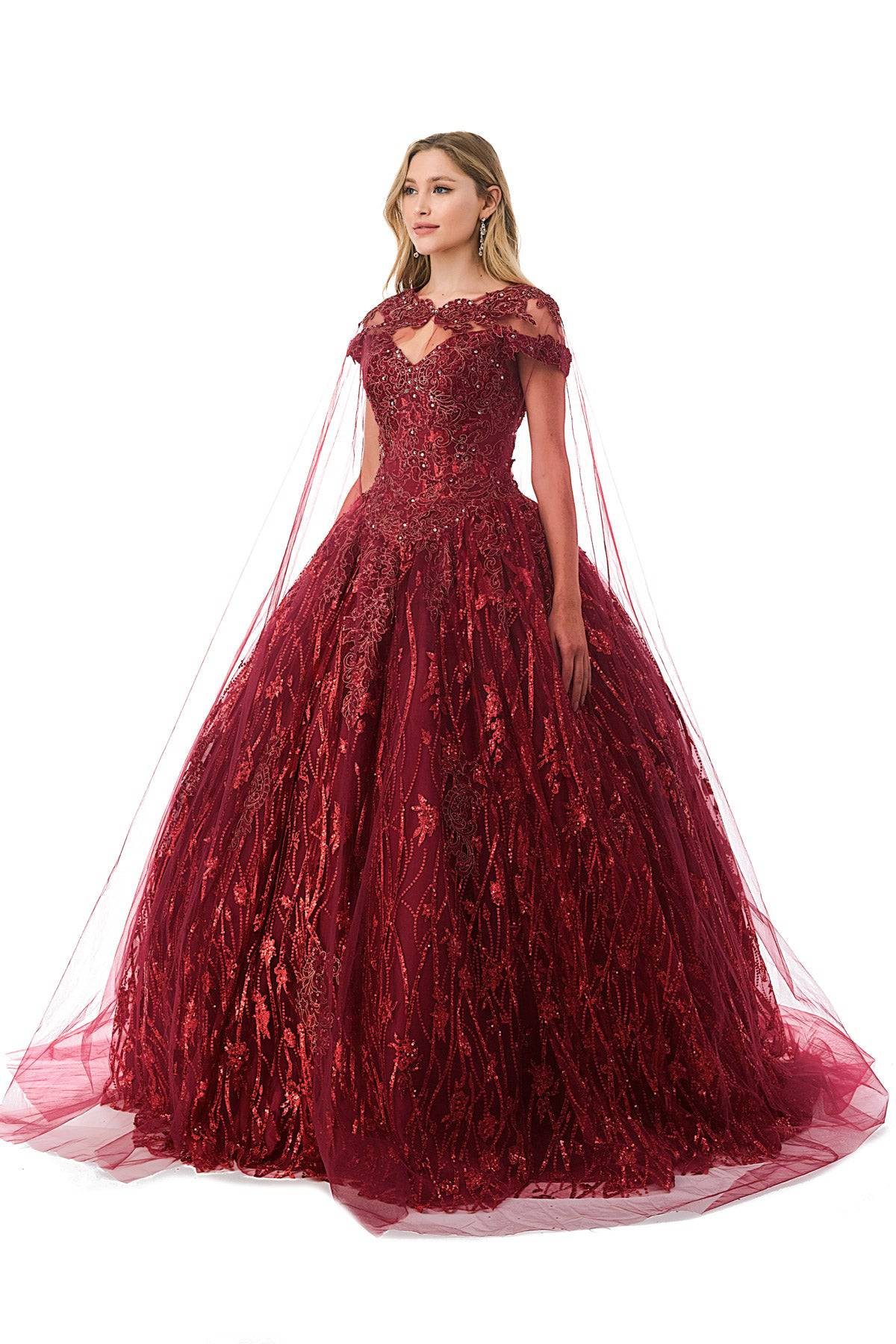 Aspeed L2804C  Floral & Sequin Burgundy Quinceanera Dress | 3 Colors - NORMA REED