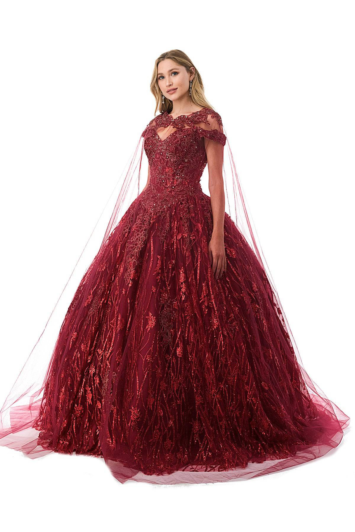 Aspeed L2804C  Floral & Sequin Burgundy Quinceanera Dress | 3 Colors - NORMA REED